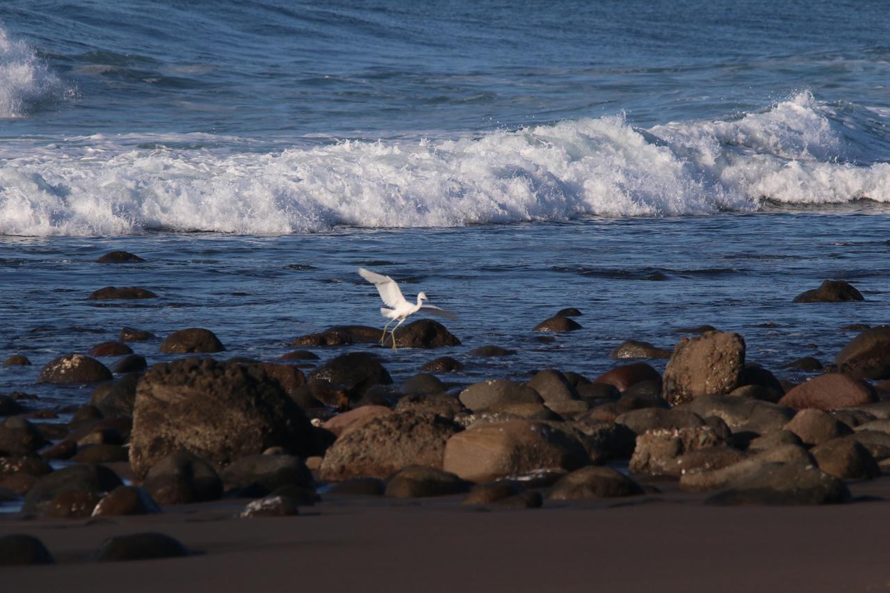 Punta El Zonte * San Salvador